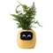 Ivy Smart Plant Pot With AI Sensors And 49 Facial Expressions For Easy Indoor Gardening 10