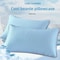 Cooling Pillowcase For Summer Ice Silk Soft Breathable And Washable Pillow Cover 48x74cm No Pillow 1