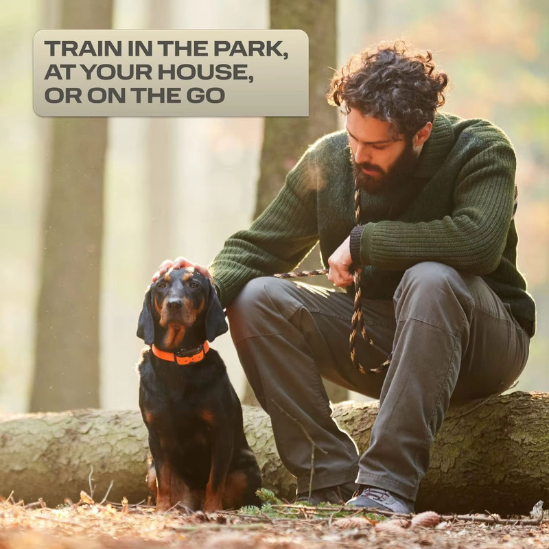 Waterproof Electric Dog Training Collar  1000m Remote Control With Shock Vibration  Beep For All Do 4