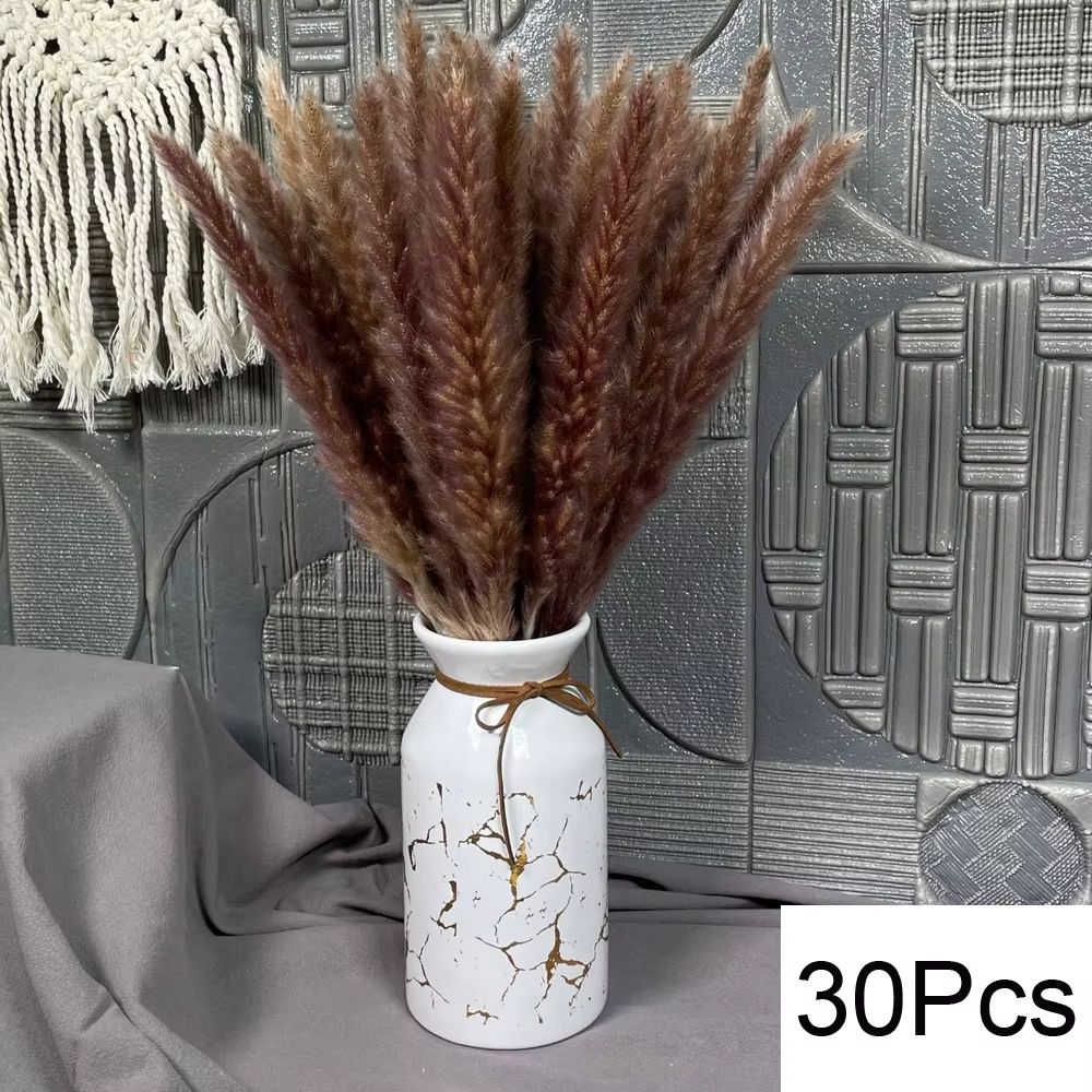Natural Dried Pampas Grass Bouquet  Boho Vase Decor With Bunny Tails For Weddings  Home Styling 10