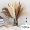 Natural Dried Pampas Grass Bouquet Boho Vase Decor With Bunny Tails For Weddings Home Styling 3
