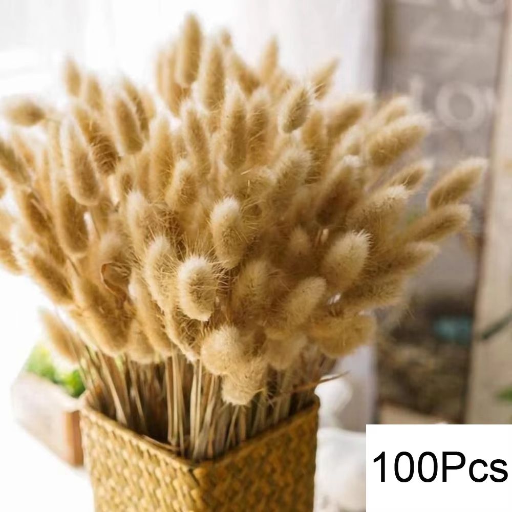 Natural Dried Pampas Grass Bouquet  Boho Vase Decor With Bunny Tails For Weddings  Home Styling 11