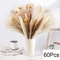 Natural Dried Pampas Grass Bouquet Boho Vase Decor With Bunny Tails For Weddings Home Styling 16