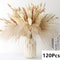 Natural Dried Pampas Grass Bouquet Boho Vase Decor With Bunny Tails For Weddings Home Styling 21
