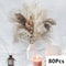 Natural Dried Pampas Grass Bouquet Boho Vase Decor With Bunny Tails For Weddings Home Styling 23