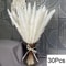 Natural Dried Pampas Grass Bouquet Boho Vase Decor With Bunny Tails For Weddings Home Styling 24
