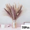 Natural Dried Pampas Grass Bouquet Boho Vase Decor With Bunny Tails For Weddings Home Styling 17