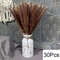Natural Dried Pampas Grass Bouquet  Boho Vase Decor With Bunny Tails For Weddings  Home Styling 25