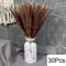Natural Dried Pampas Grass Bouquet Boho Vase Decor With Bunny Tails For Weddings Home Styling 25