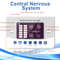 ReliefPulse 12Mode TENS And EMS Muscle Stimulator Device 1