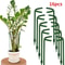 Plastic Garden Plant Support Stake For Flowers And Greenhouse Use 0
