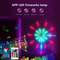 RGBIC Firework LED Strip Lights Bluetooth App Controlled Neon Light With USB Power And Music Sync 2
