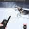 Ultimate Remote Training Collar Long Range Dog Training Collar With Waterproof Shock Vibration Be 1