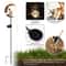 Whimsical Moon Fairy Solar Garden Stake Light Crackle Glass Globe 2