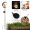 Whimsical Moon Fairy Solar Garden Stake Light Crackle Glass Globe 2