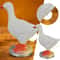 Chick Night Light Cute Decorative Animal Lamp For Home Easter 6