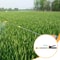 Retractable Stainless Steel Watering Wand Adjustable Sprayer Extension Rod For Garden Trees And Ha 1