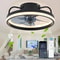 LED Ceiling Fan With Remote Control Silent Smart Ceiling Light Fan For Bedroom And Living Room Dec 0