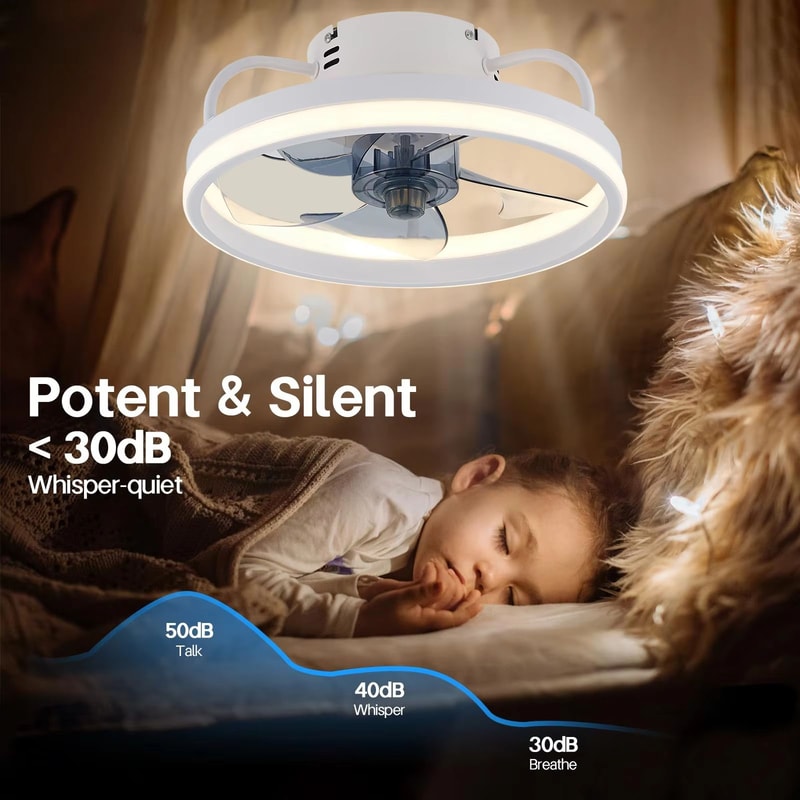 LED Ceiling Fan With Remote Control Silent Smart Ceiling Light Fan For Bedroom And Living Room Dec 4
