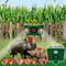 GuardianSolar Wild Boar Pest Deterrent Alarm 0