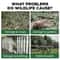 GuardianSolar Wild Boar Pest Deterrent Alarm 1