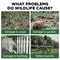 GuardianSolar Wild Boar Pest Deterrent Alarm 1