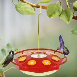 all season bee proof hummingbird feeder with ant moat and flower feeding ports