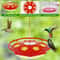 All Season Bee Proof Hummingbird Feeder With Ant Moat And Flower Feeding Ports 5