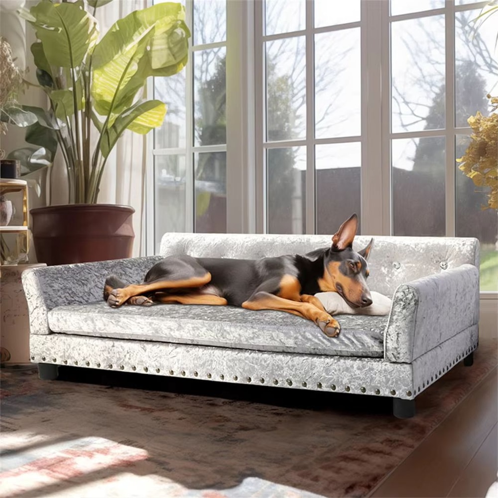 Heavy Duty Pet Sofa Large Raised Dog Bed Cushioned Cat Couch Lounge 4