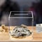 Clear Acrylic Piggy Bank For Adults Break To Open Money Saving Bank 0
