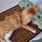 Natural Rattan Cooling Mat For Cats And Dogs Breathable Summer Pet Bed Pad 4