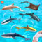Remote Control Shark Toy With Water Spray Electric Swimming Whale Dolphin Bath And Pool Toy For K 0