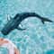 Remote Control Shark Toy With Water Spray Electric Swimming Whale Dolphin Bath And Pool Toy For K 7