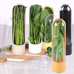fresh-keeping herb saver container – durable kitchen storage for leafy greens