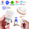 Tuya WiFi Smart Socket EU FR Plug 16A Power Monitoring State Memory Works With Alexa Google Home 0