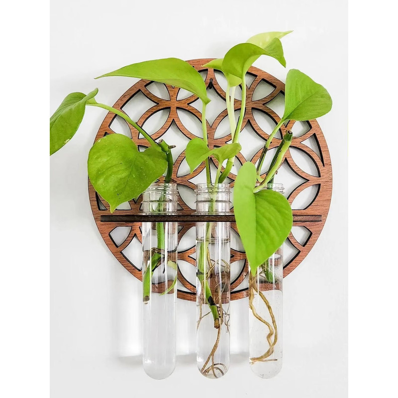 Rustic Wooden Wall Planter With Glass Tube Propagation Station  Hanging Indoor Plant Holder  Flower 0
