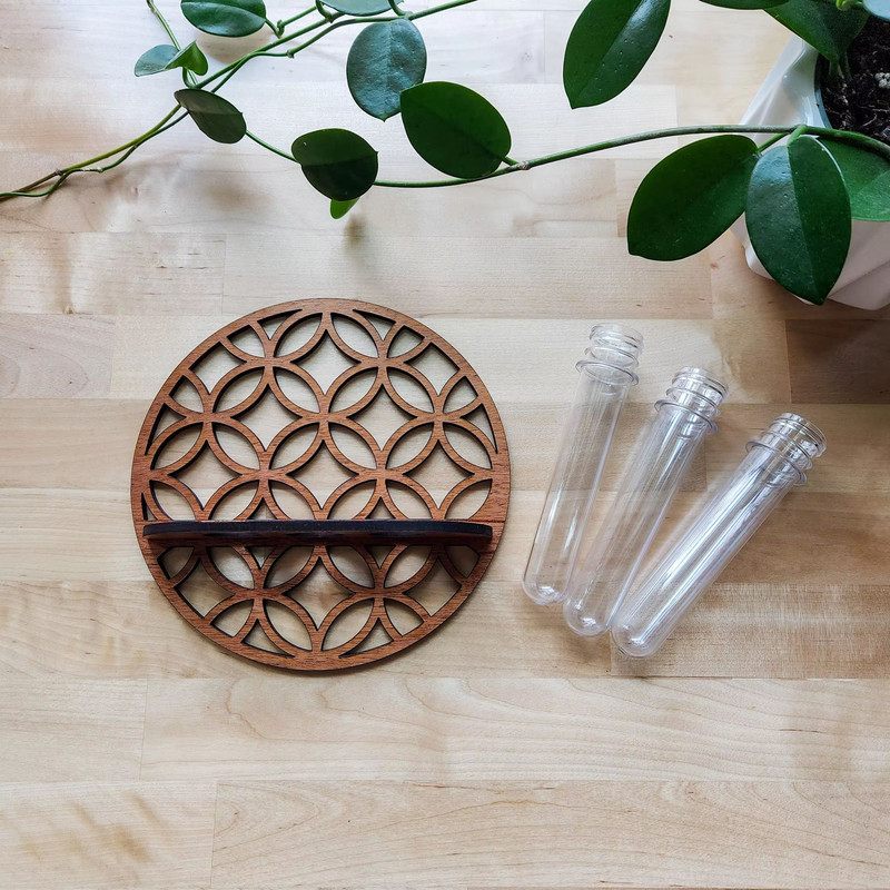 Rustic Wooden Wall Planter With Glass Tube Propagation Station  Hanging Indoor Plant Holder  Flower 4