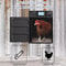 Automatic Chicken Coop Door Solar Powered With Timer Light Sensor Safe AntiPinch Design 4