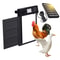 Automatic Chicken Coop Door Solar Powered With Timer Light Sensor Safe AntiPinch Design 6