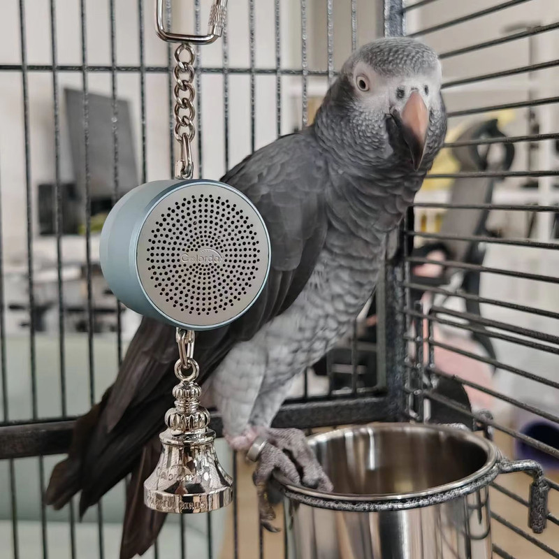 Interactive Parrot Training Toy  Voice Recording  Playback Bird Talking Coach With Chewing Bell 0
