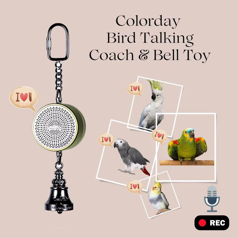 Interactive Parrot Training Toy  Voice Recording  Playback Bird Talking Coach With Chewing Bell 4