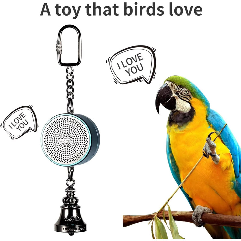 Interactive Parrot Training Toy  Voice Recording  Playback Bird Talking Coach With Chewing Bell 6