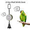 Interactive Parrot Training Toy  Voice Recording  Playback Bird Talking Coach With Chewing Bell 7