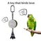 Interactive Parrot Training Toy Voice Recording Playback Bird Talking Coach With Chewing Bell 7