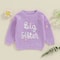 Big Sister Little Sister Matching Embroidered Knit Sweater Set Warm FallWinter Toddler Sweatshirt 4