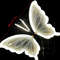 12V LED Butterfly Lights Outdoor Dynamic Static Decorative String For Festivals Parties And Home 1