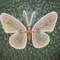 12V LED Butterfly Lights Outdoor Dynamic Static Decorative String For Festivals Parties And Home 6