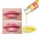 12Pcs Ginger Mint Lip Plumper Oil Hydrating Volumizing Serum For Fuller Smoother Youthful Lips 2