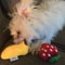 7Piece Plush Puppy Chew Toys Set Fun Fruit Vegetable Squeaky Toys For Small Dogs And Puppies 2