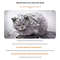 Waterproof Outdoor Cat And Dog House Winter Warm Pet Cave Bed Foldable Washable Shelter 1